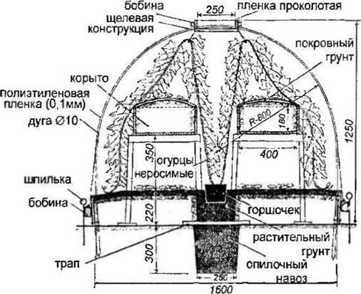 пленочное укрытие для шампиньонов