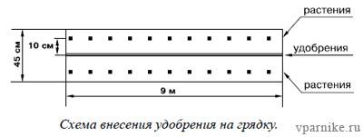 Миттлайдер, Джекоб