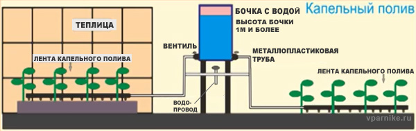 Схема капельного полива