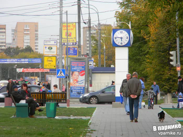 Почему мы переехали с Севера в Подмосковье