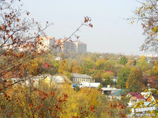 За сколько мы купили участок в Подмосковье