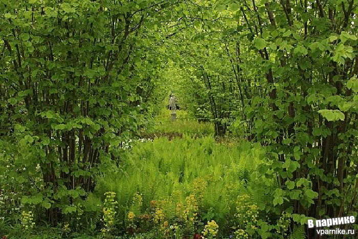 Сады Замка Сиссингхёрст Sissinghurst Castle Gardens