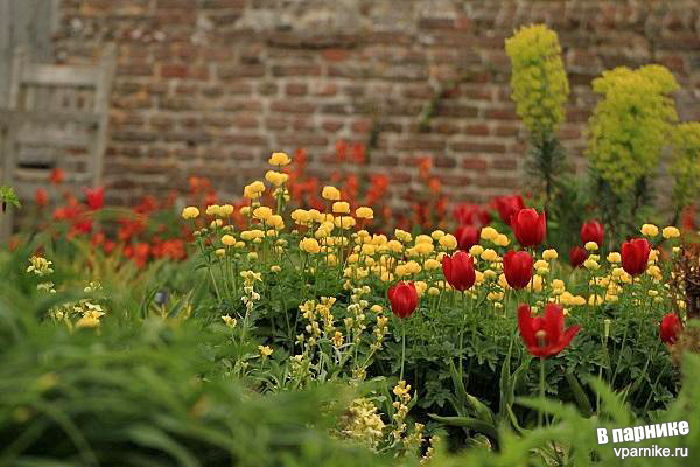 Сады Замка Сиссингхёрст Sissinghurst Castle Gardens