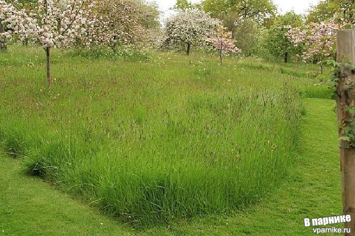 Сады Замка Сиссингхёрст Sissinghurst Castle Gardens