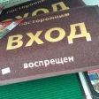 Кто покупает это в садовых центрах?