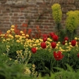 7 идей для сада, которые можно позаимствовать в самом известном английском парке замка Сиссингхерст