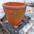 глиняный садовый горшок треснул после зимы