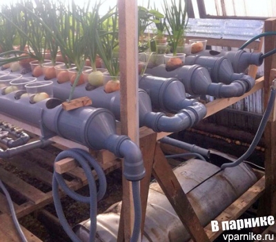 Гидропонная установка из обыкновенных пластмассовых канализационных труб