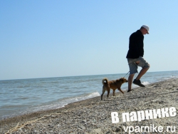 Переезд к морю. Или описание окрестных сел Таганрога