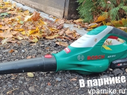Как воздуходувка Bosch Alb 18 Li справляется с осенней листвой