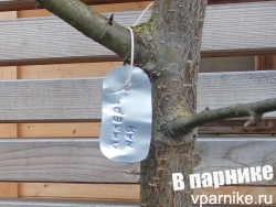 Самые надежные садовые бирки для деревьев