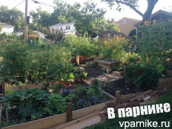 Участок на склоне: как организовать небольшой огород