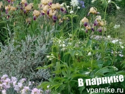 Глина на участке - используем конскую подстилку по 100 рублей за мешок