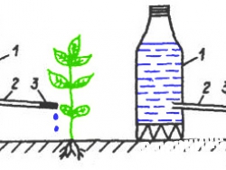 Простые схемы капельного полива растений из пластиковых бутылок