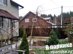 Окна соседей во двор